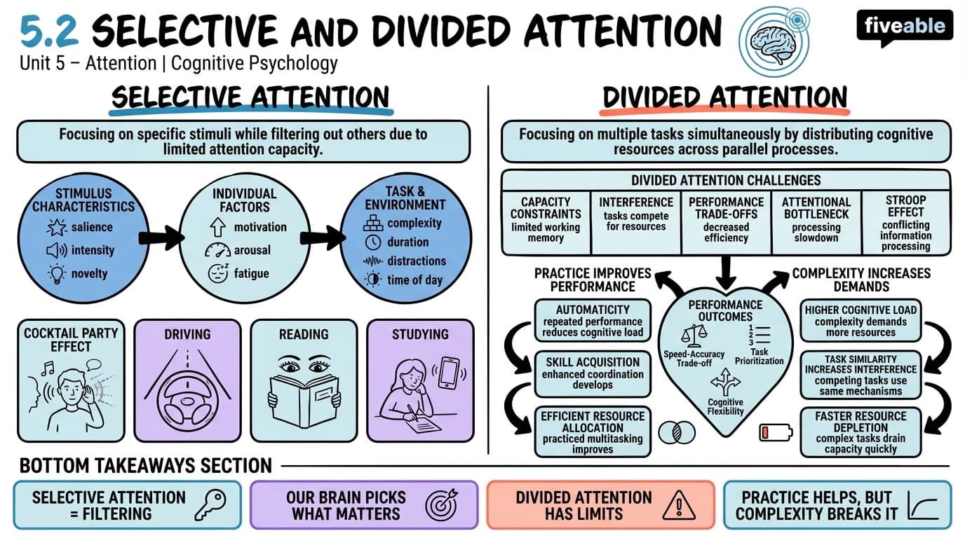 5.2 Selective and Divided Attention - Cognitive Psychology - Unit 5 visual cheatsheet