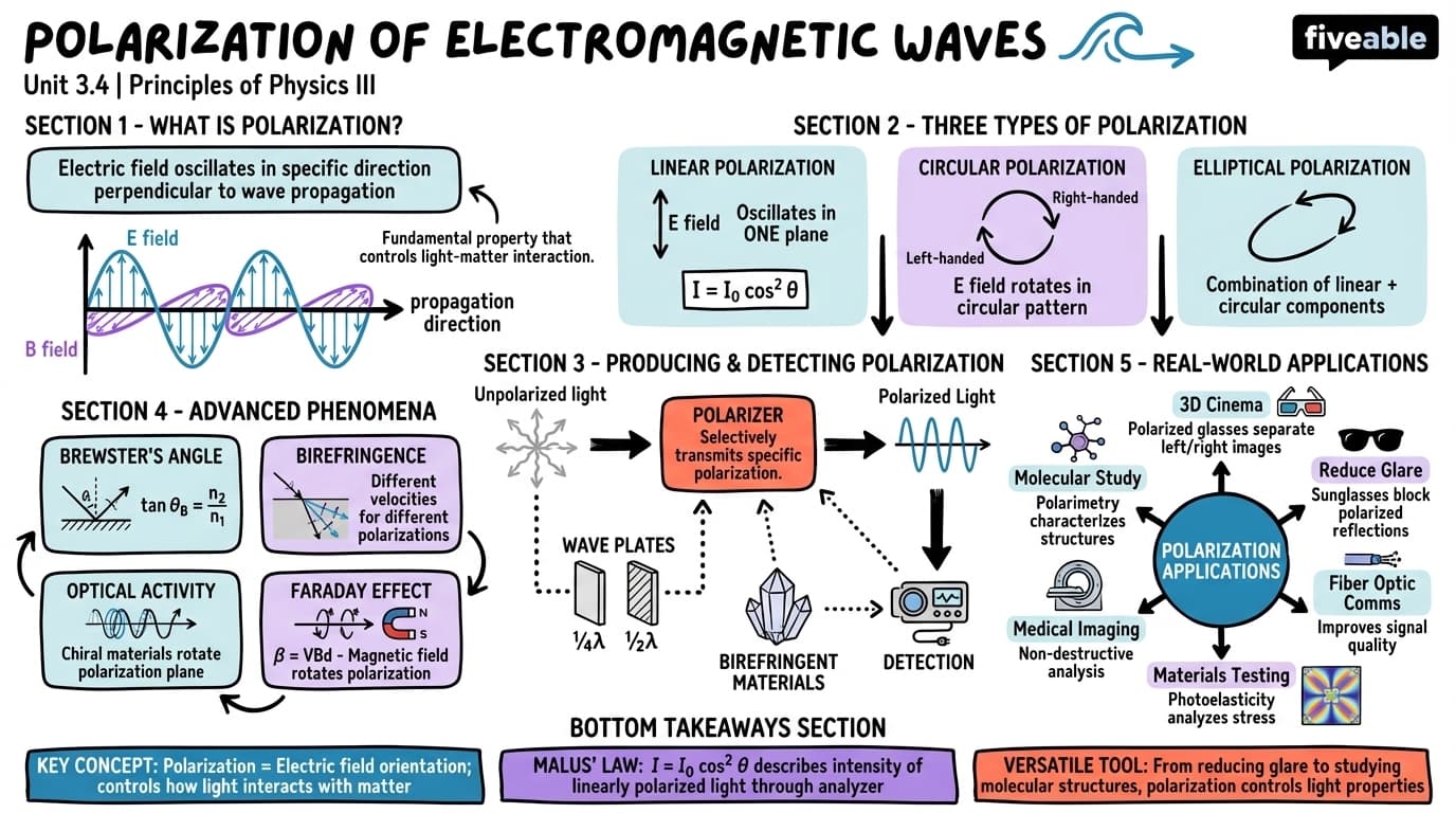 3.4 Polarization of Electromagnetic Waves - Principles of Physics III - Unit 3 visual cheatsheet