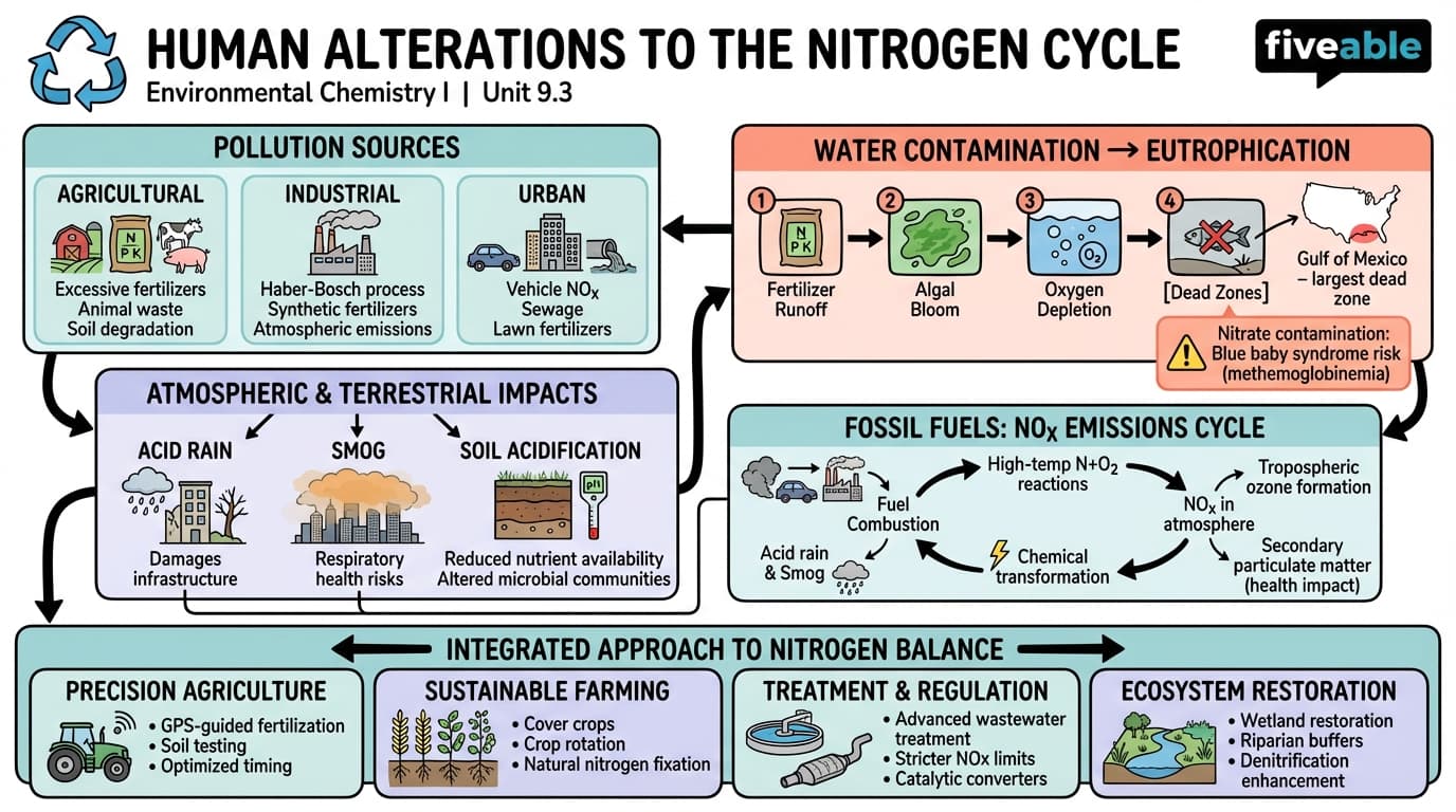 9.3 Human Alterations to the Nitrogen Cycle - Environmental Chemistry I - Unit 9 visual cheatsheet