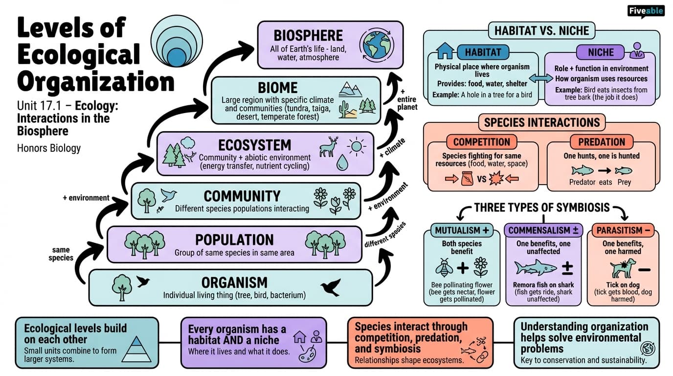 17.1 Levels of Ecological Organization - Honors Biology - Unit 17 visual cheatsheet