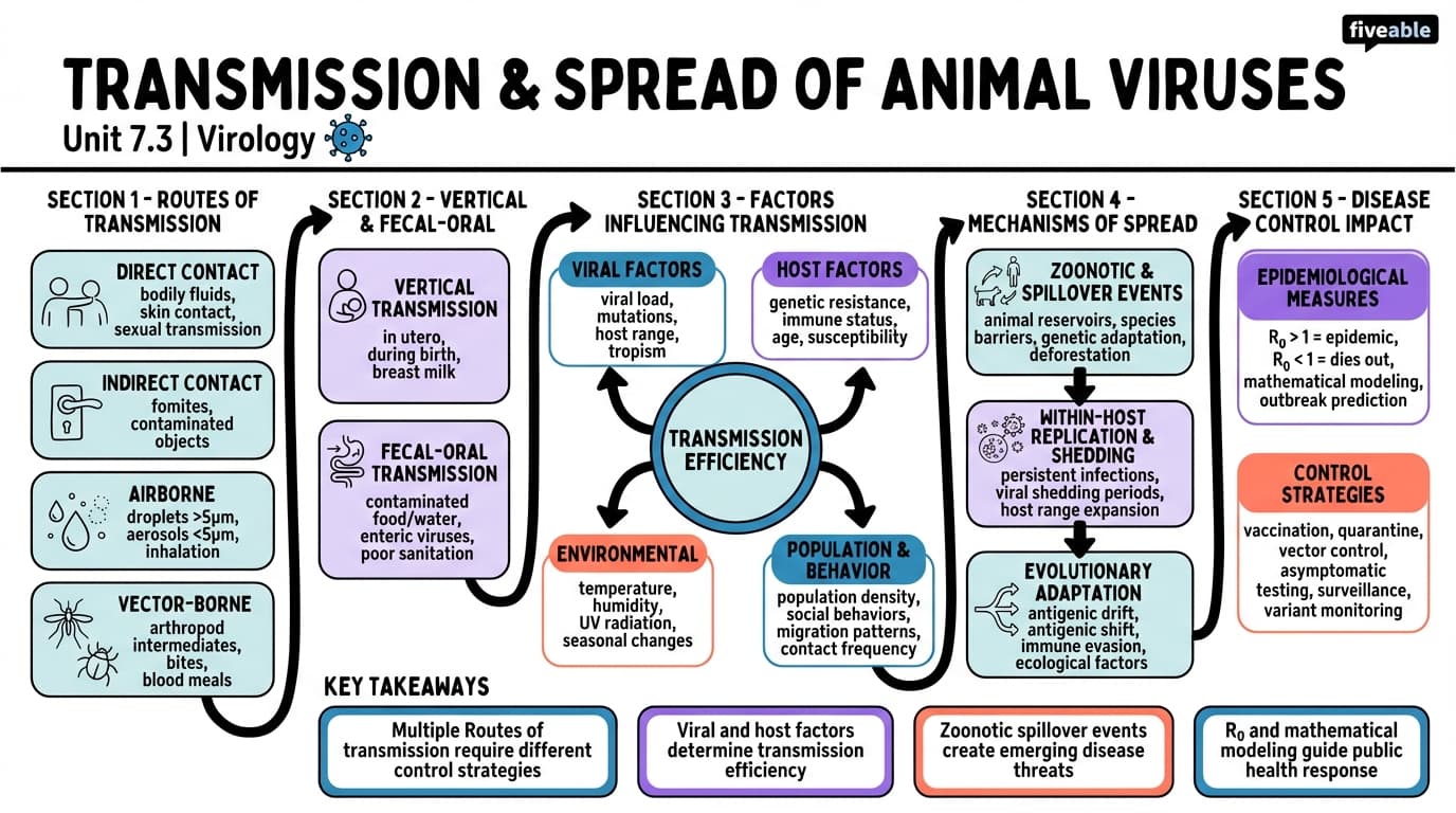 7.3 Transmission and spread of animal viruses - Virology - Unit 7 visual cheatsheet