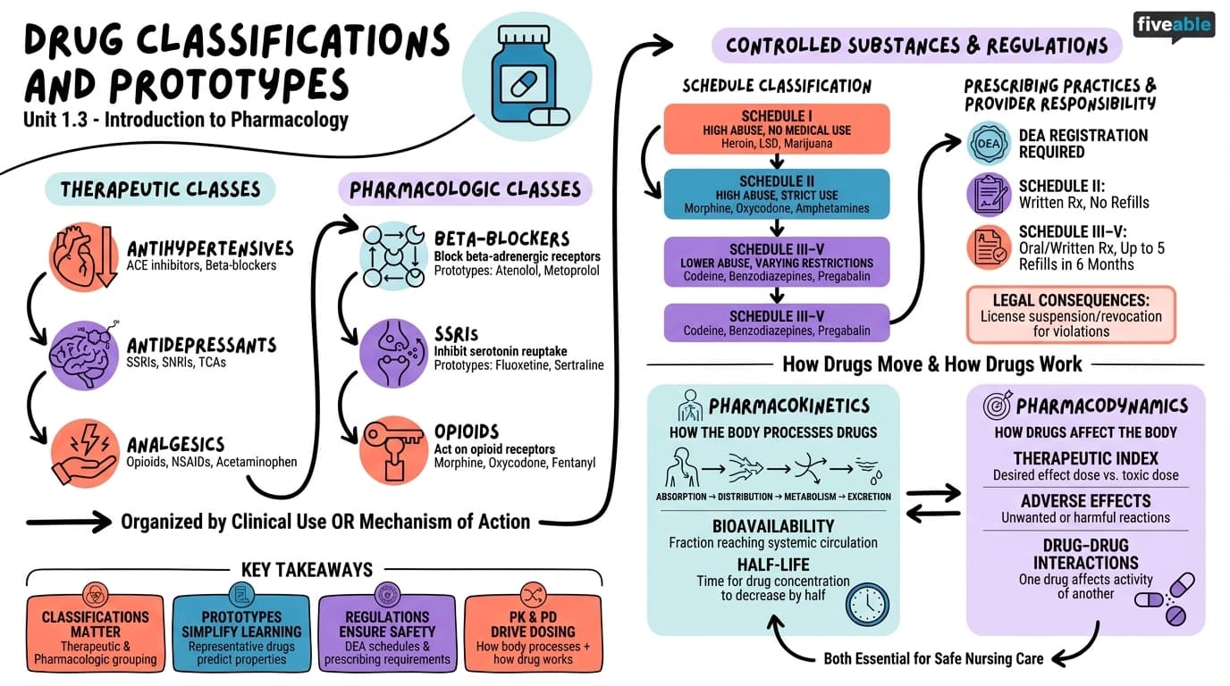 1.3 Drug Classifications and Prototypes - Pharmacology for Nurses - Unit 1 visual cheatsheet