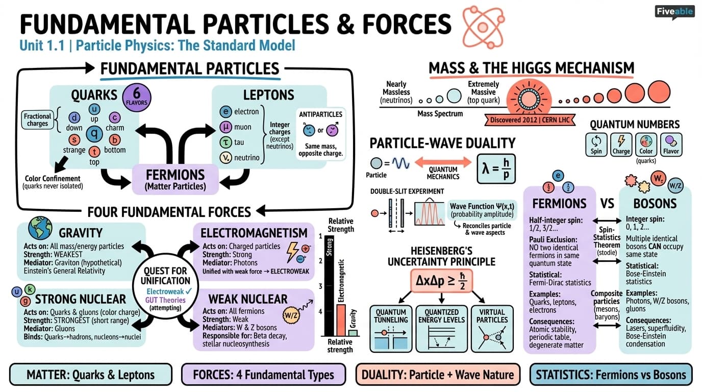 1.1 Fundamental particles and forces - Particle Physics - Unit 1 visual cheatsheet