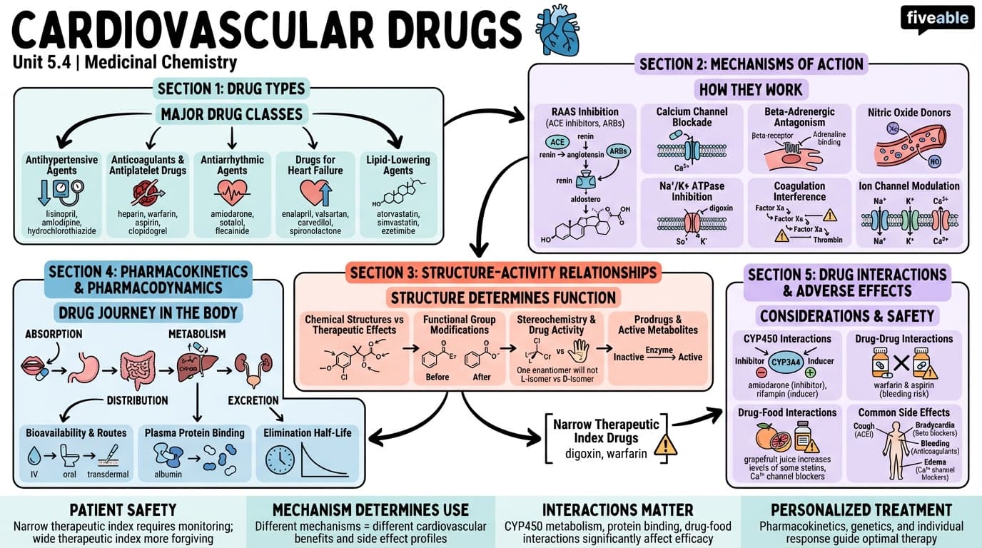 5.4 Cardiovascular drugs - Medicinal Chemistry - Unit 5 visual cheatsheet