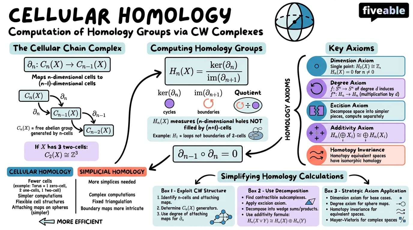 3.3 Computation of cellular homology - Algebraic Topology - Unit 3 visual cheatsheet