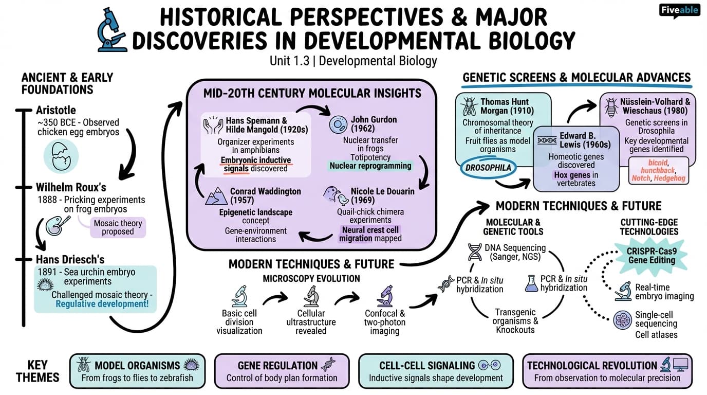 1.3 Historical perspectives and major discoveries in developmental biology - Developmental Biology - Unit 1 visual cheatsheet