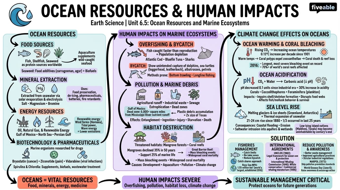 6.5 Ocean Resources and Human Impacts - Earth Science - Unit 6 visual cheatsheet