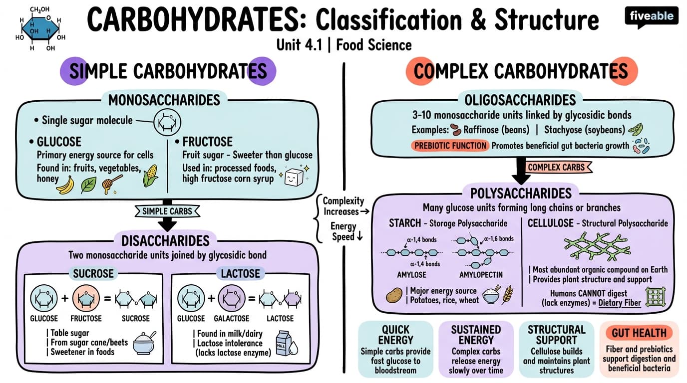 4.1 Classification and structure of carbohydrates - Principles of Food Science - Unit 4 visual cheatsheet