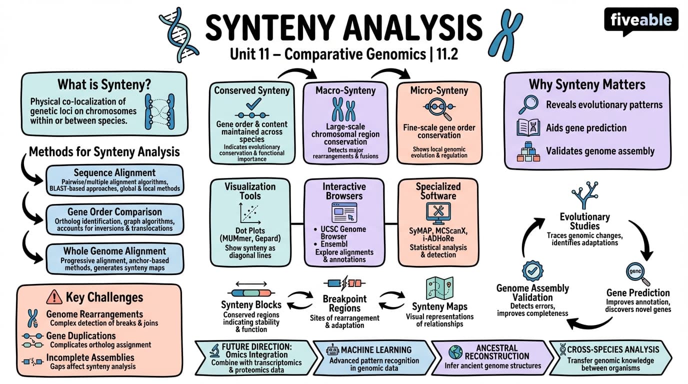 11.2 Synteny analysis - Bioinformatics - Unit 11 visual cheatsheet