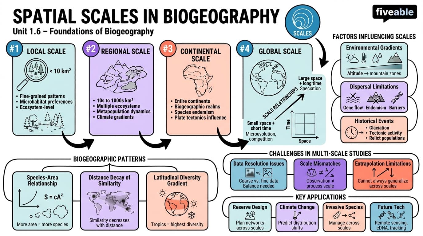 1.6 Spatial scales in biogeography - World Biogeography - Unit 1 visual cheatsheet