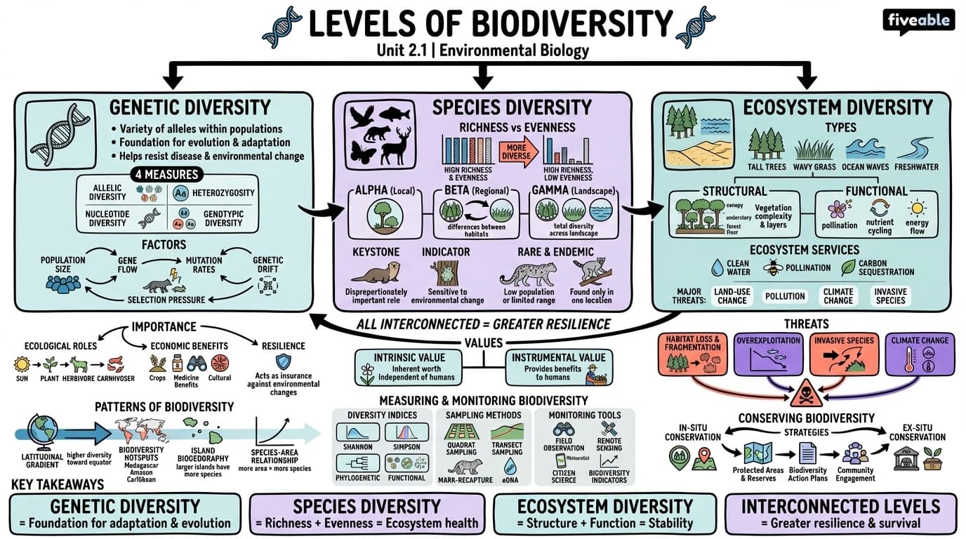 2.1 Levels of biodiversity - Environmental Biology - Unit 2 visual cheatsheet