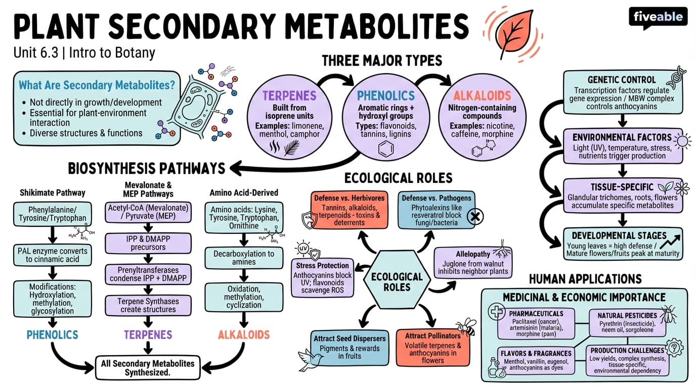 6.3 Plant secondary metabolites - Intro to Botany - Unit 6 visual cheatsheet