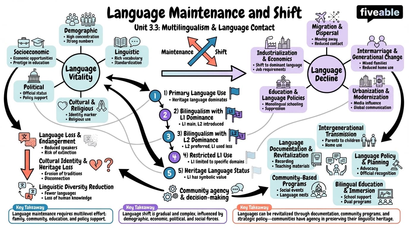 3.3 Language maintenance and shift - Intro to Sociolinguistics - Unit 3 visual cheatsheet