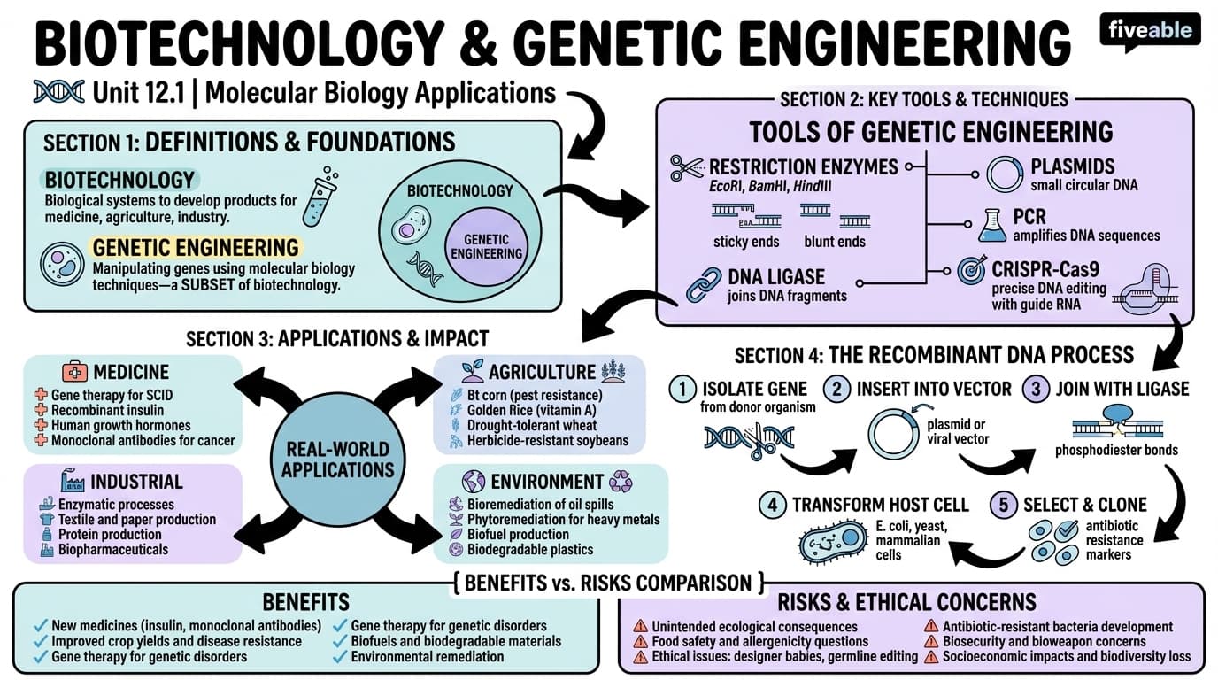 12.1 Biotechnology and genetic engineering - Molecular Biology - Unit 12 visual cheatsheet