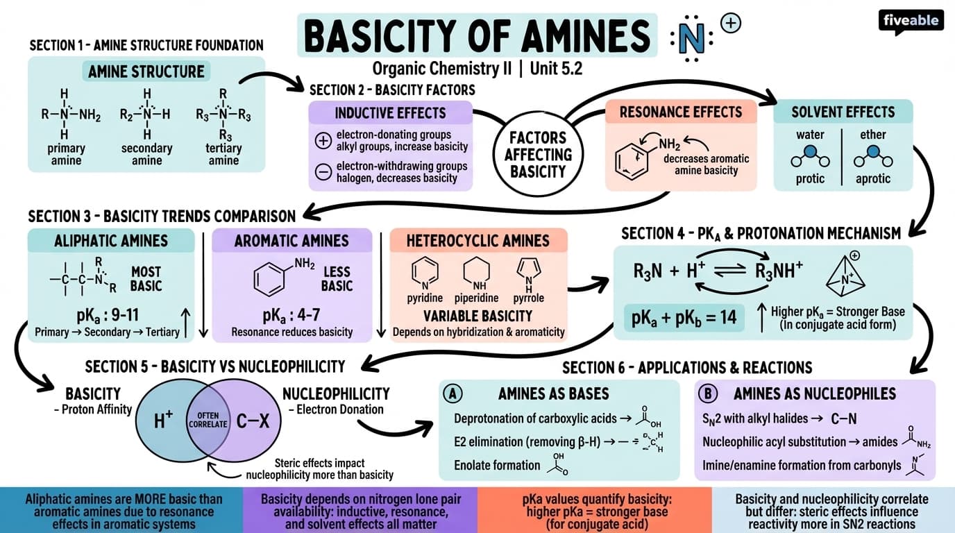5.2 Basicity of amines - Organic Chemistry II - Unit 5 visual cheatsheet