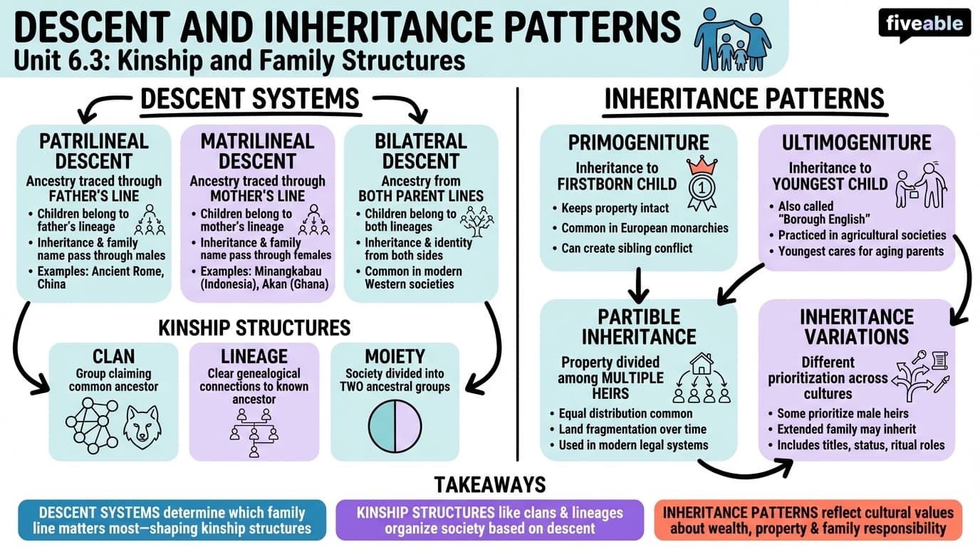 6.3 Descent and Inheritance Patterns - Intro to Cultural Anthropology - Unit 6 visual cheatsheet