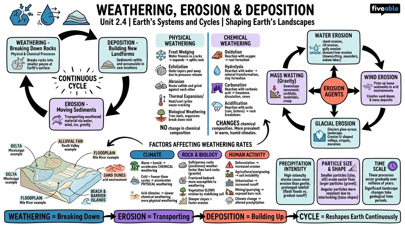 2.4 Weathering, Erosion, and Deposition - Earth Science - Unit 2 visual cheatsheet