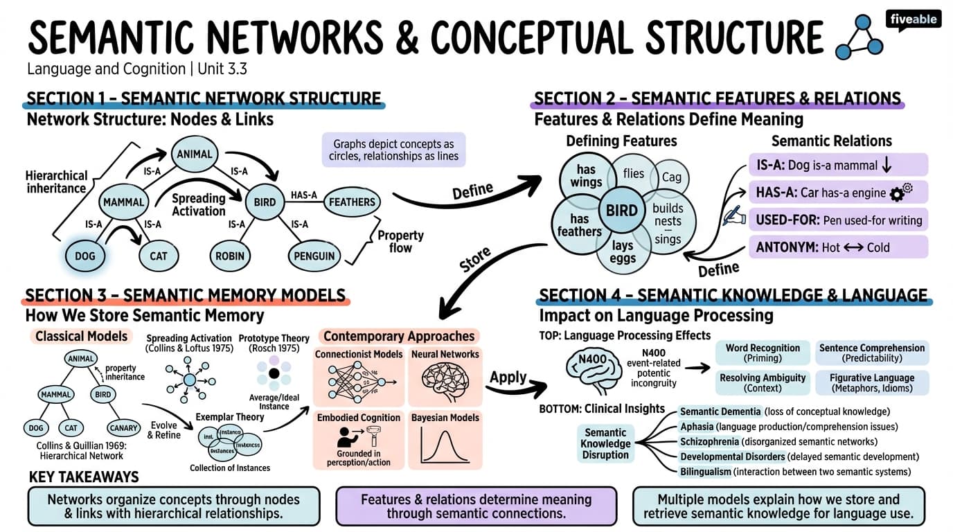 3.3 Semantic Networks and Conceptual Structure - Language and Cognition - Unit 3 visual cheatsheet