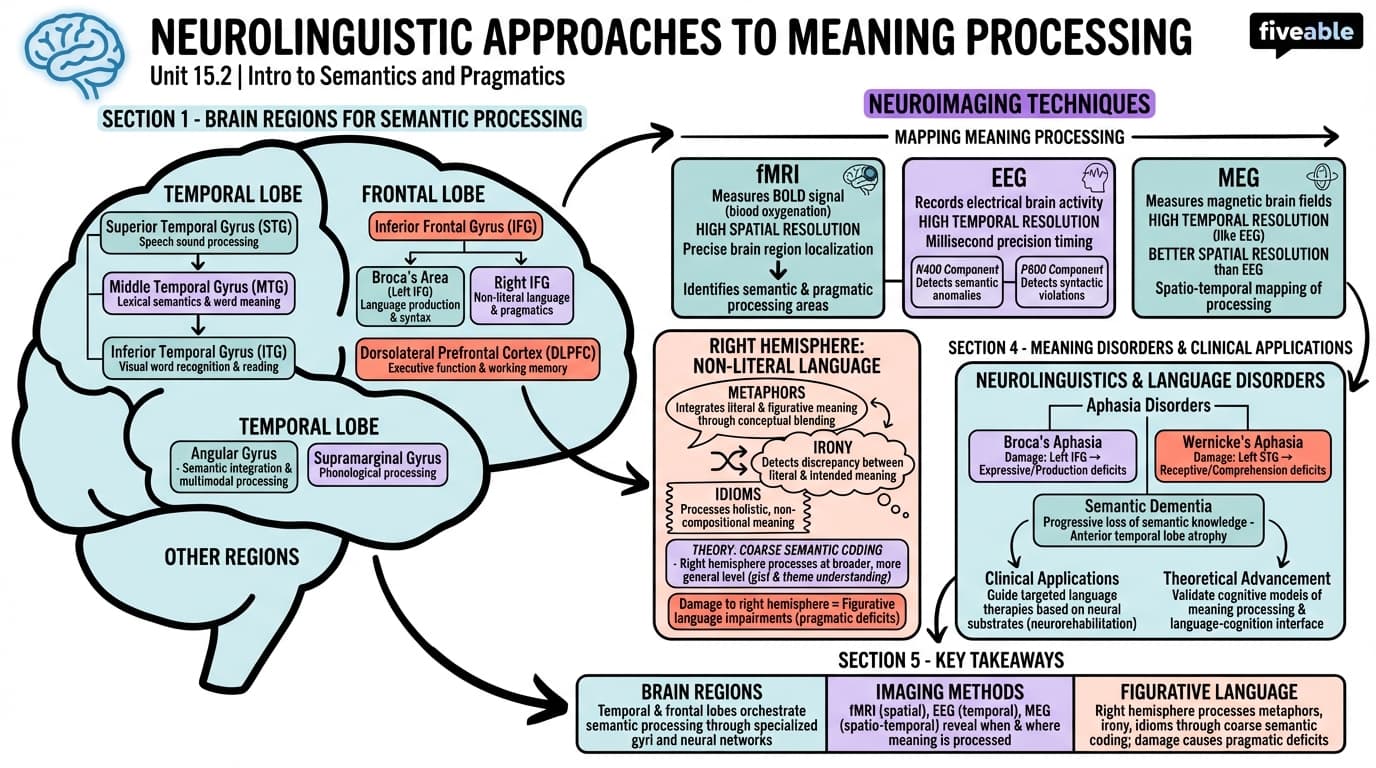 15.2 Neurolinguistic approaches to meaning processing - Intro to Semantics and Pragmatics - Unit 15 visual cheatsheet