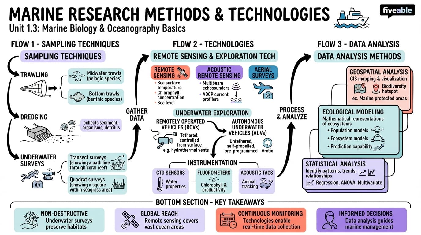 1.3 Marine research methods and technologies - Marine Biology - Unit 1 visual cheatsheet