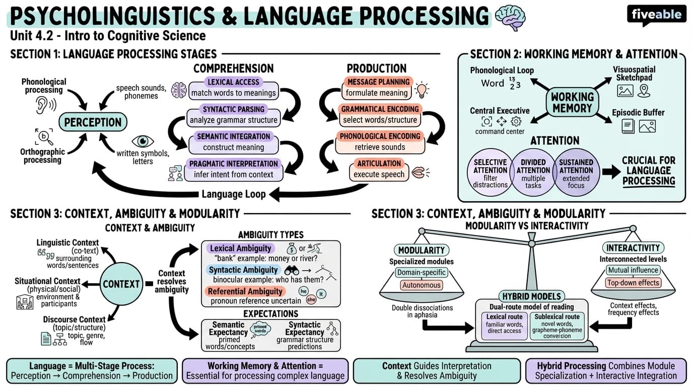 4.2 Psycholinguistics and language processing - Intro to Cognitive Science - Unit 4 visual cheatsheet
