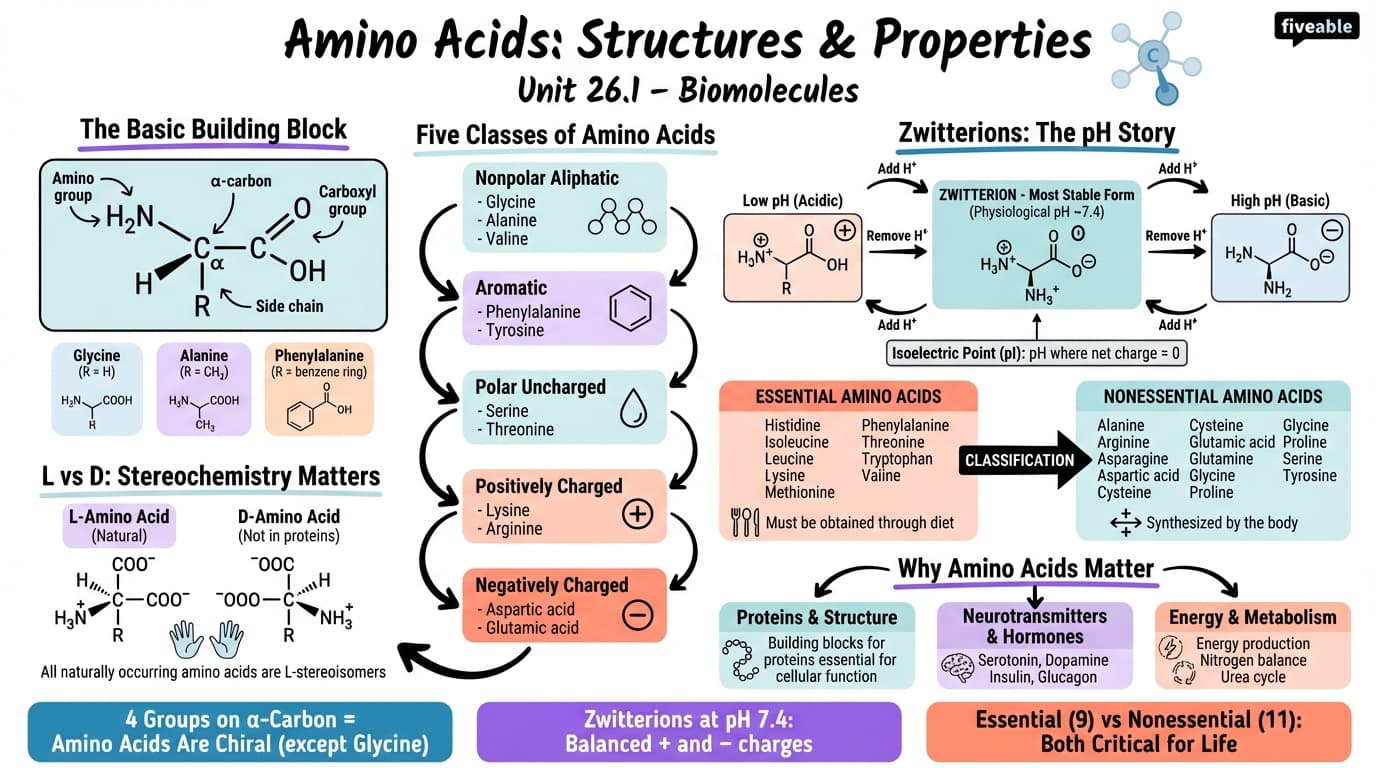 26.1 Structures of Amino Acids - Organic Chemistry - Unit 26 visual cheatsheet