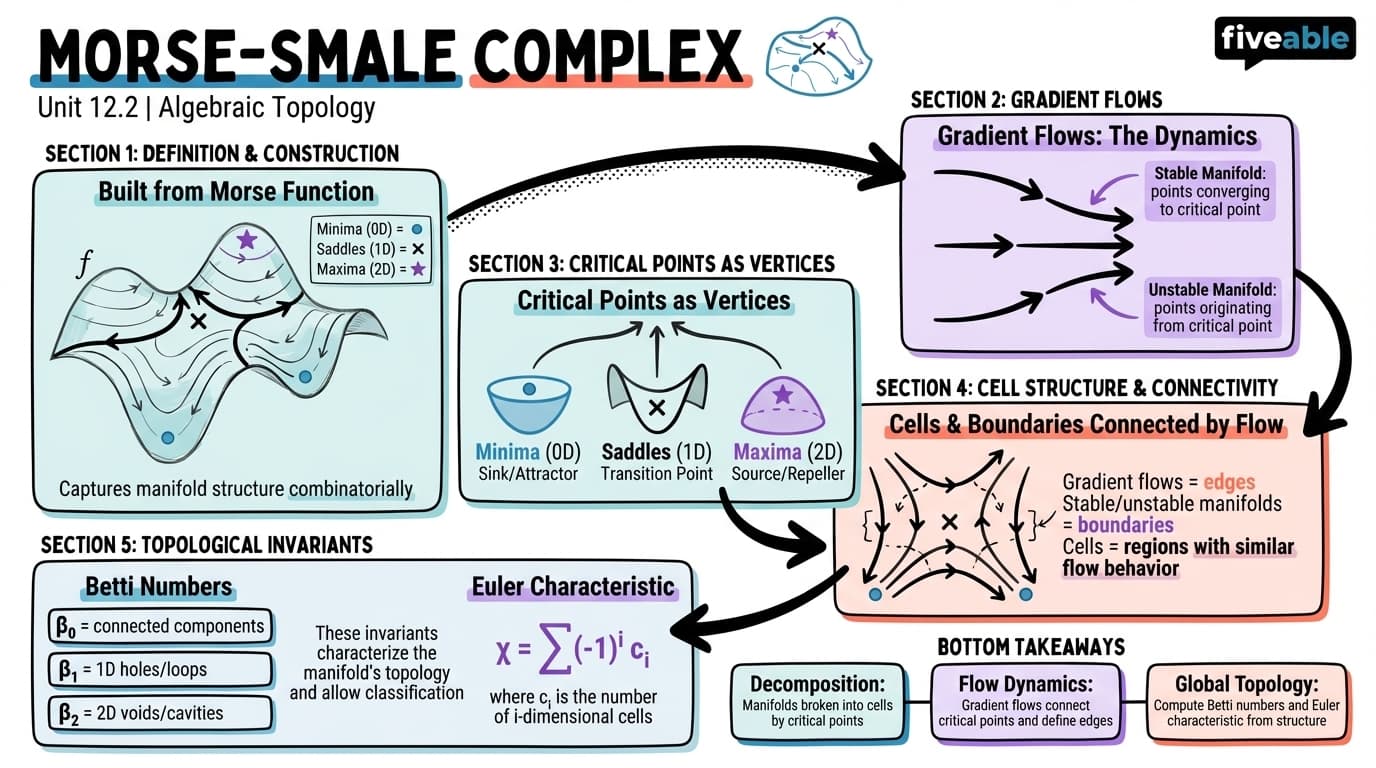 12.2 The Morse-Smale complex - Algebraic Topology - Unit 12 visual cheatsheet
