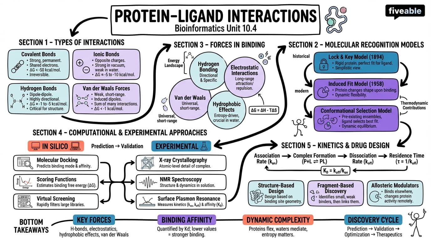 10.4 Protein-ligand interactions - Bioinformatics - Unit 10 visual cheatsheet
