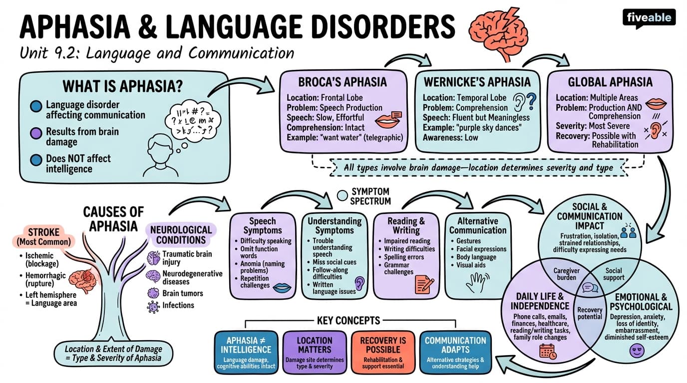 9.2 Aphasia and language disorders - Intro to Brain and Behavior - Unit 9 visual cheatsheet