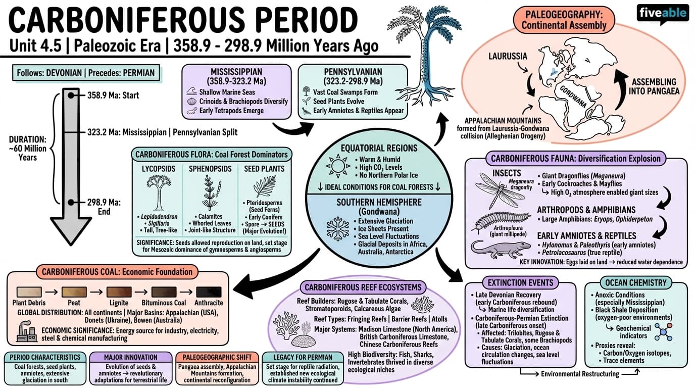 4.5 Carboniferous period - Paleontology - Unit 4 visual cheatsheet