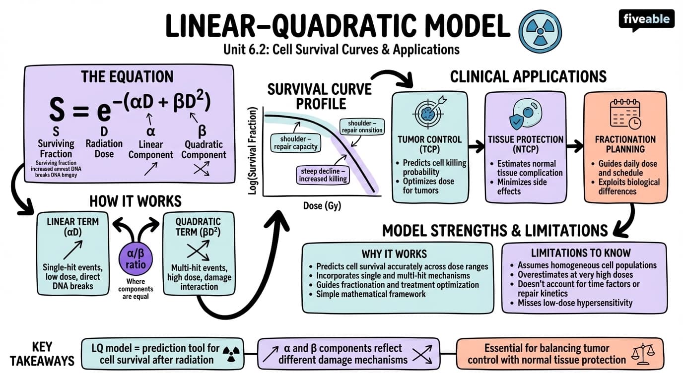6.2 Linear-quadratic model and its applications - Radiobiology - Unit 6 visual cheatsheet