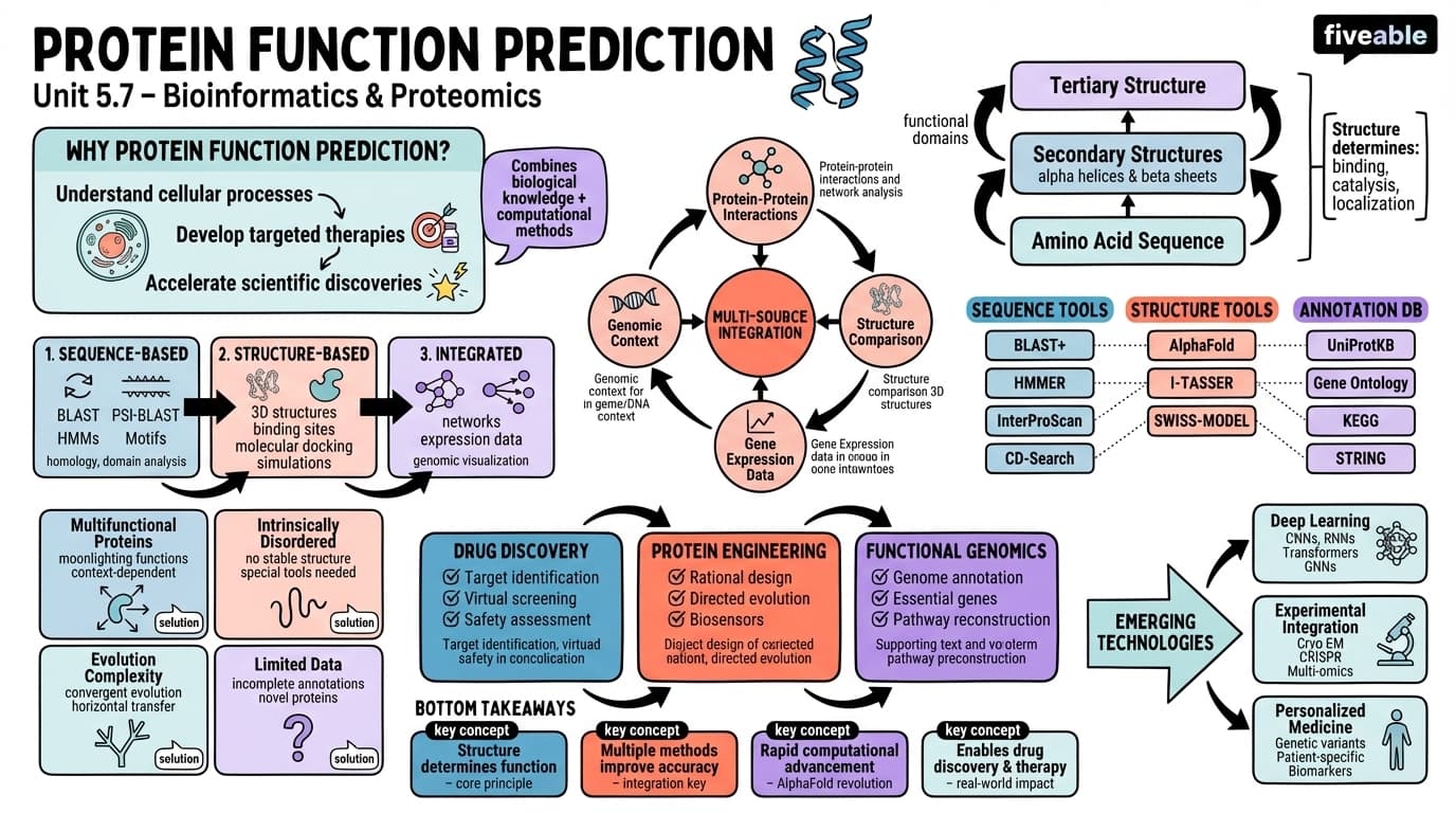 5.7 Protein function prediction - Bioinformatics - Unit 5 visual cheatsheet