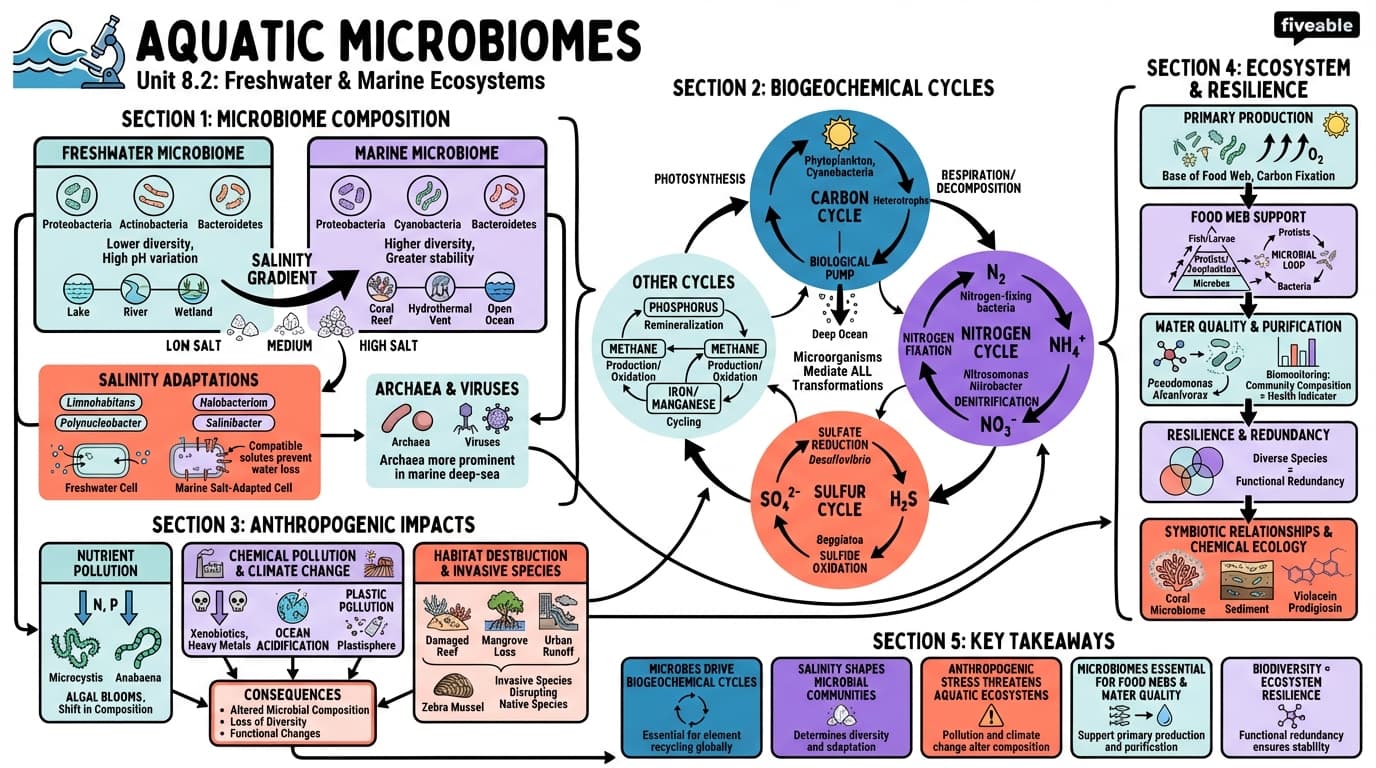 8.2 Aquatic microbiomes in freshwater and marine ecosystems - Microbiomes - Unit 8 visual cheatsheet
