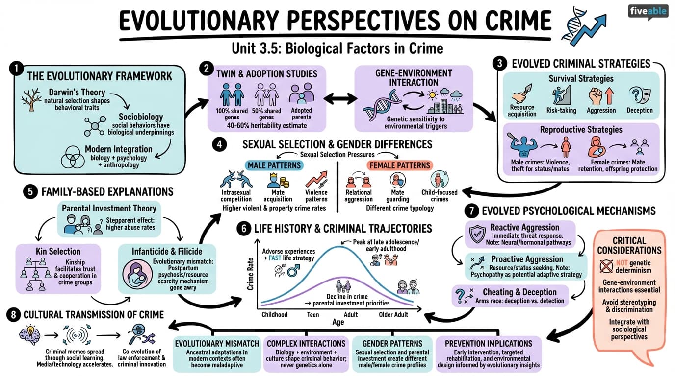 3.5 Evolutionary perspectives on crime - Crime and Human Development - Unit 3 visual cheatsheet