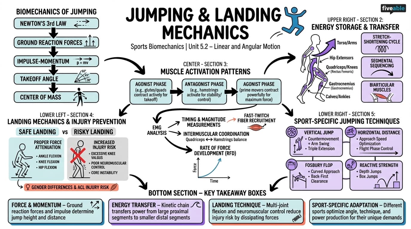 5.2 Jumping and landing mechanics - Sports Biomechanics - Unit 5 visual cheatsheet