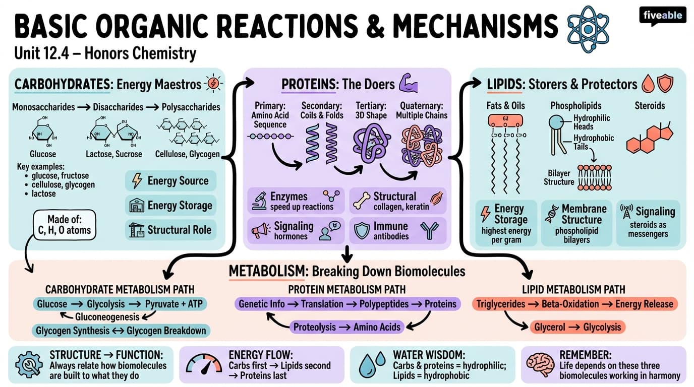 12.4 Basic Organic Reactions and Mechanisms - Honors Chemistry - Unit 12 visual cheatsheet