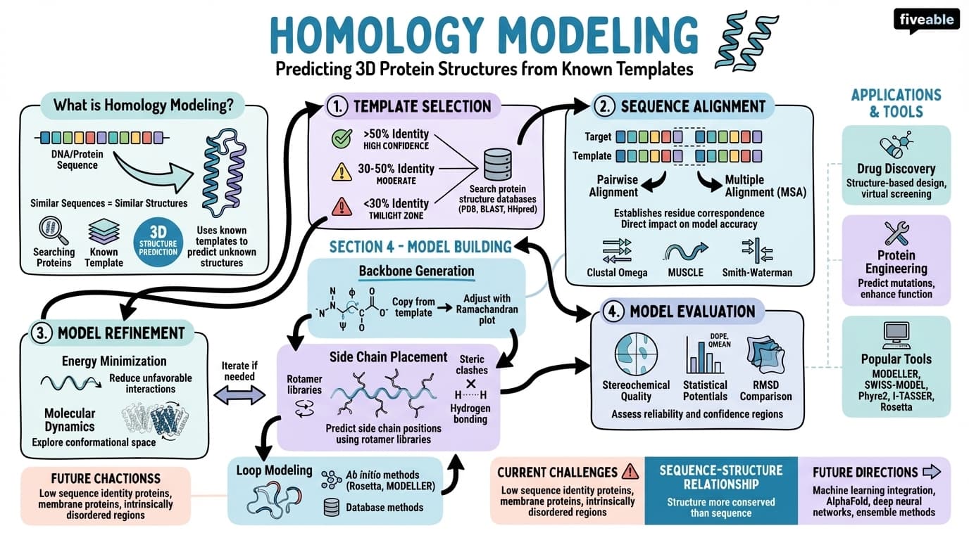 5.4 Homology modeling - Bioinformatics - Unit 5 visual cheatsheet