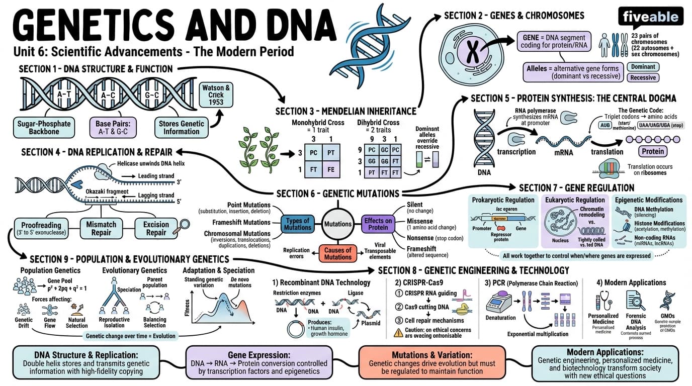 6.6 Genetics and DNA - The Modern Period - Unit 6 visual cheatsheet
