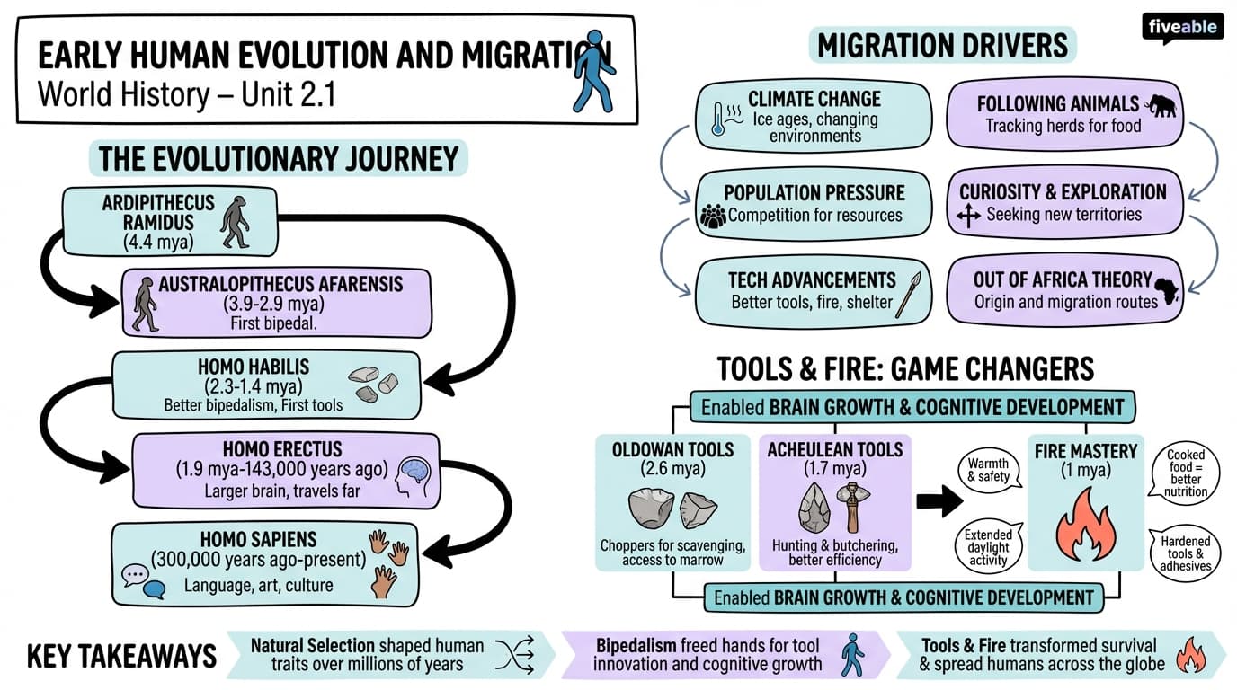 2.1 Early Human Evolution and Migration - World History – Before 1500 - Unit 2 visual cheatsheet