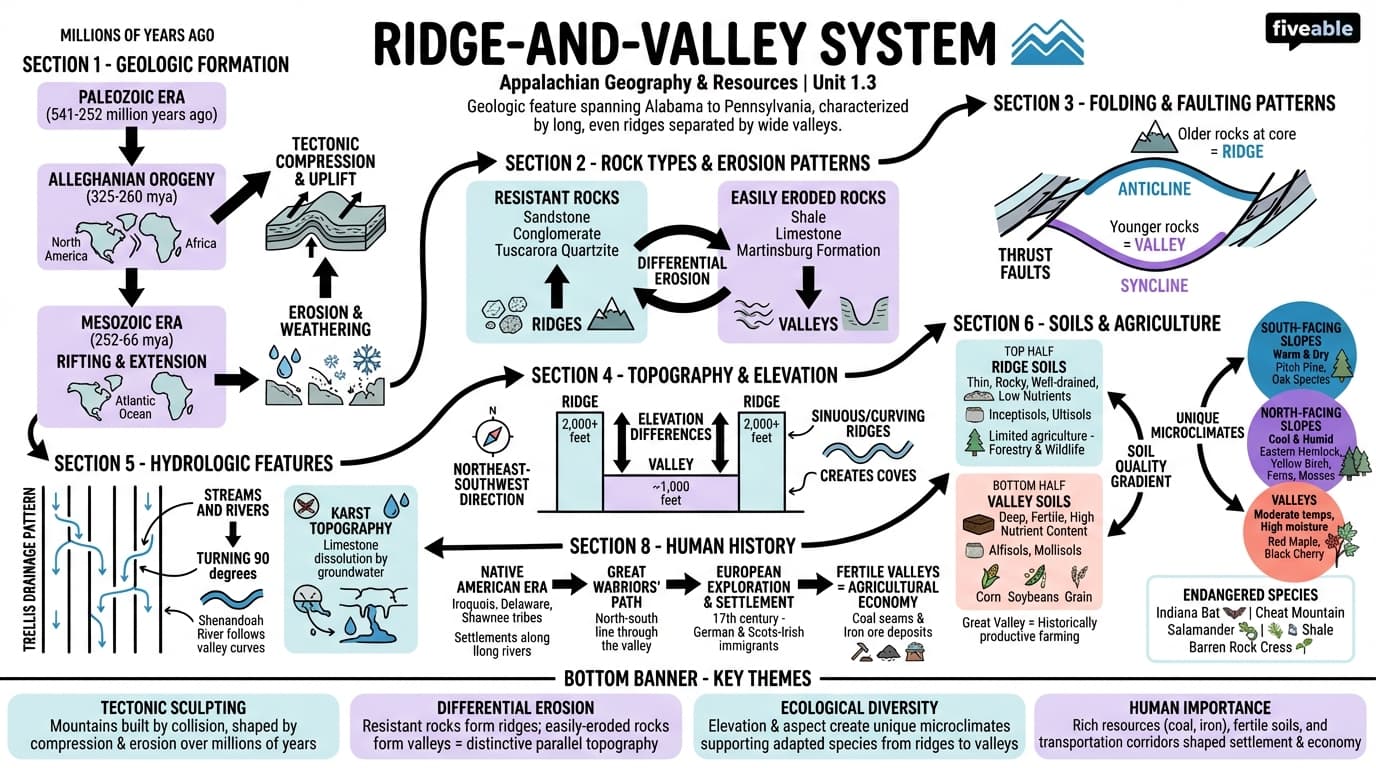 1.3 Ridge-and-valley system - Appalachian Studies - Unit 1 visual cheatsheet
