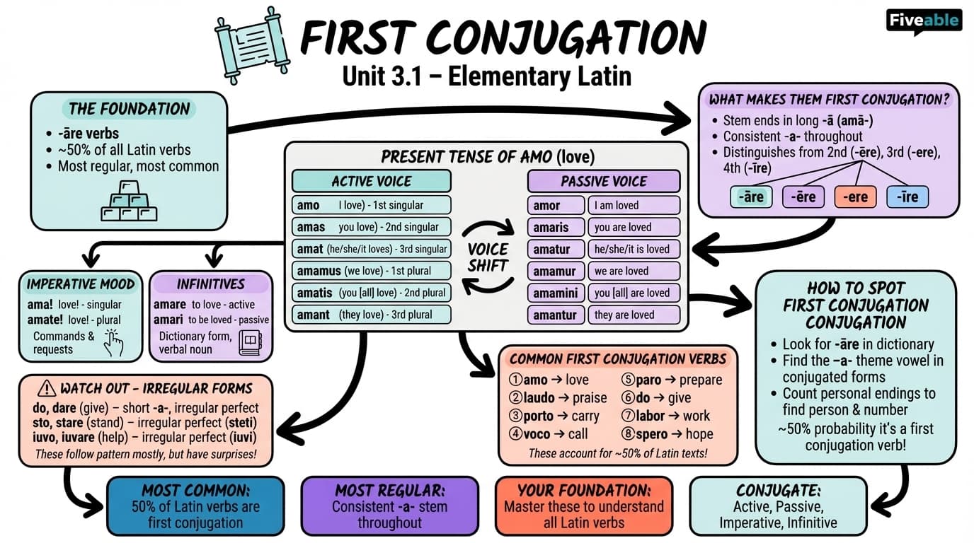 3.1 First conjugation - Elementary Latin - Unit 3 visual cheatsheet