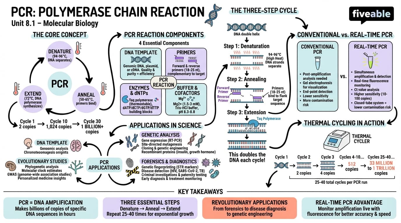 8.1 Polymerase chain reaction (PCR) and its applications - Molecular Biology - Unit 8 visual cheatsheet