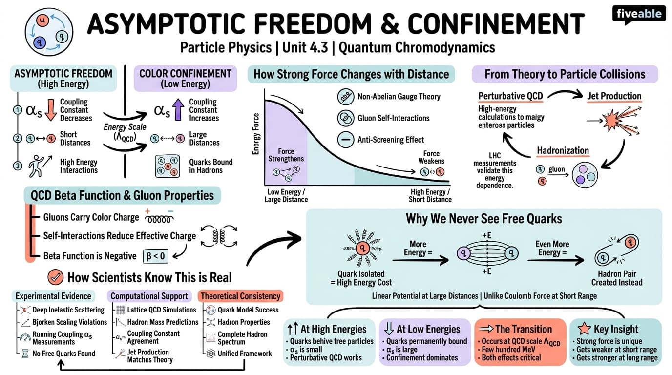 4.3 Asymptotic freedom and confinement - Particle Physics - Unit 4 visual cheatsheet