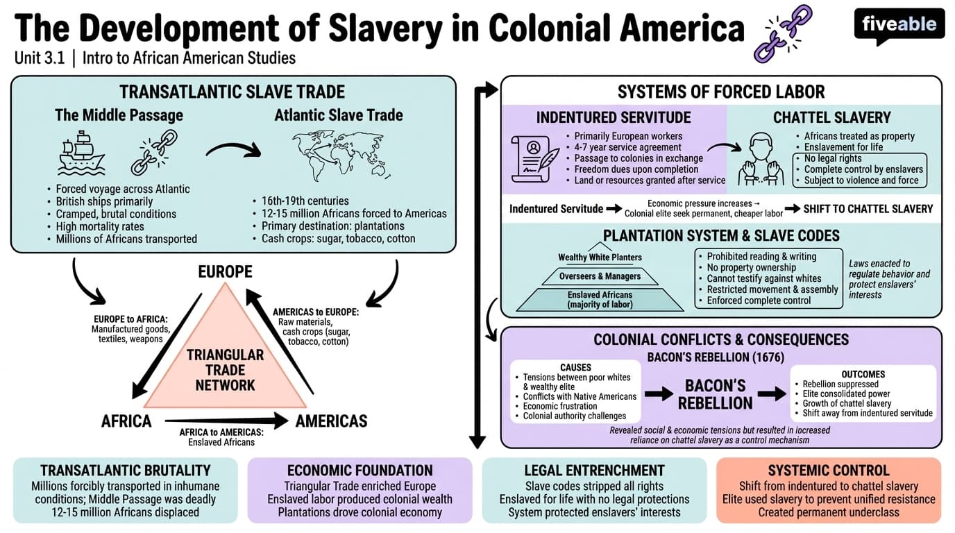 3.1 The Development of Slavery in Colonial America - Intro to African American Studies - Unit 3 visual cheatsheet