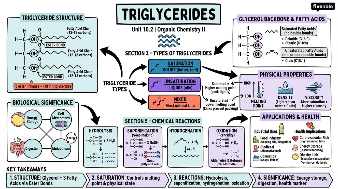 10.2 Triglycerides - Organic Chemistry II - Unit 10 visual cheatsheet