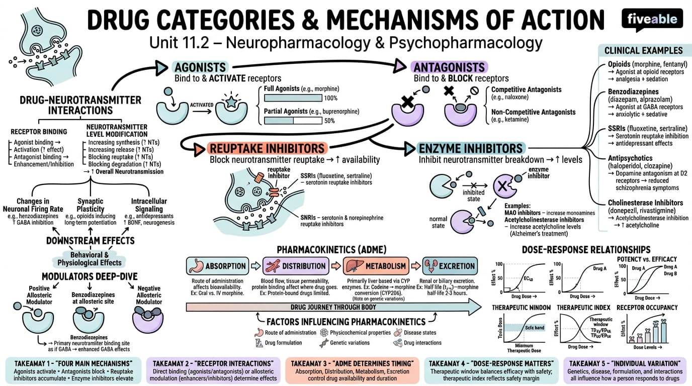 11.2 Drug categories and mechanisms of action - Neuroscience - Unit 11 visual cheatsheet