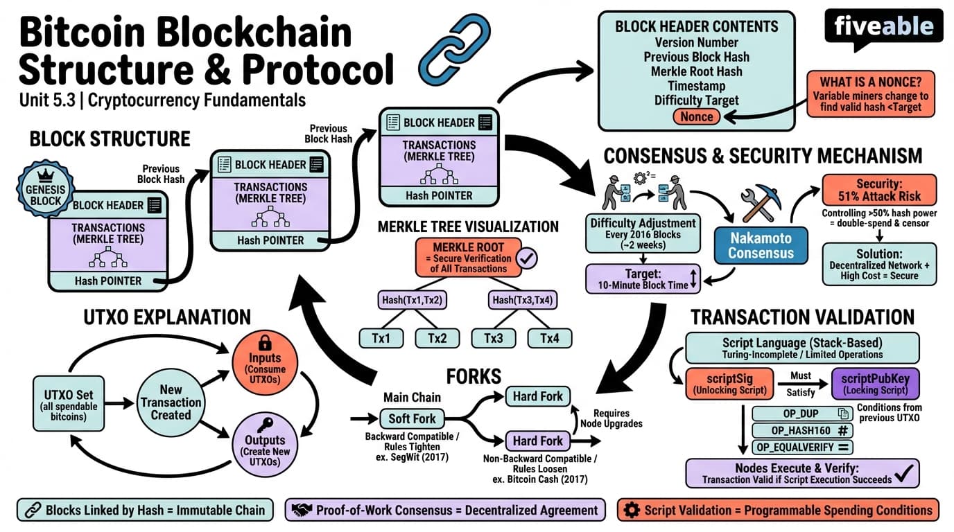 5.3 Bitcoin Blockchain Structure and Protocol - Blockchain and Cryptocurrency - Unit 5 visual cheatsheet