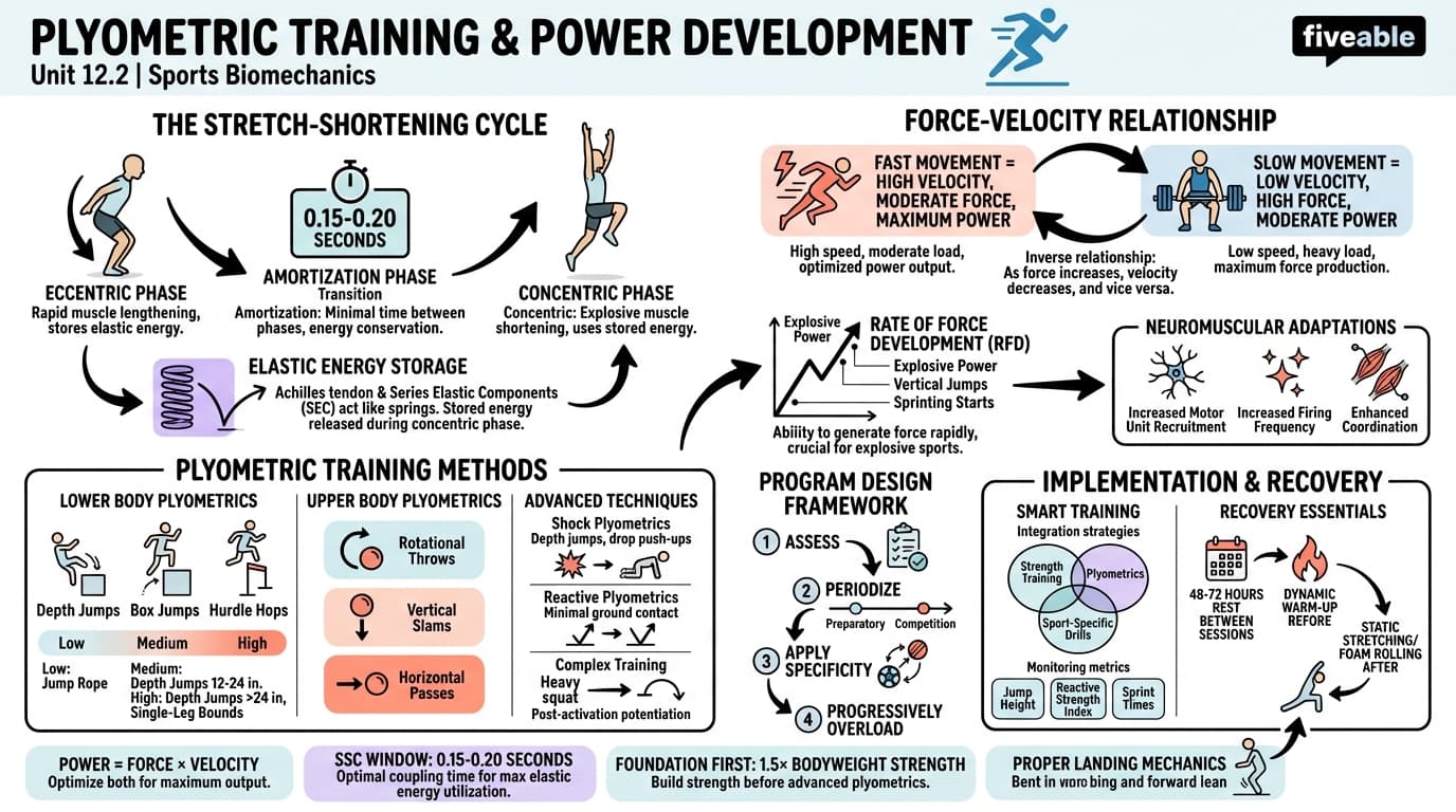 12.2 Plyometric training and power development - Sports Biomechanics - Unit 12 visual cheatsheet