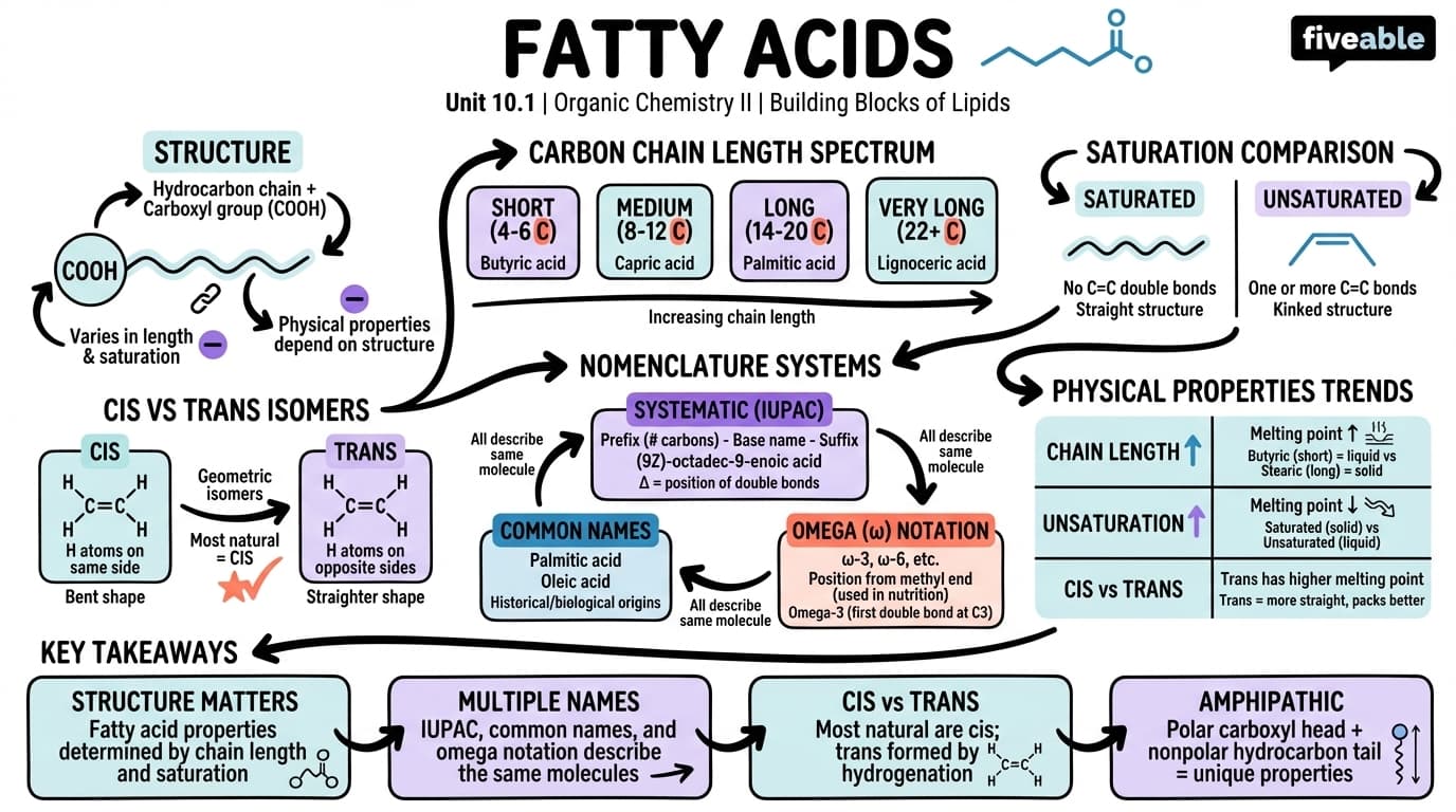 10.1 Fatty acids - Organic Chemistry II - Unit 10 visual cheatsheet