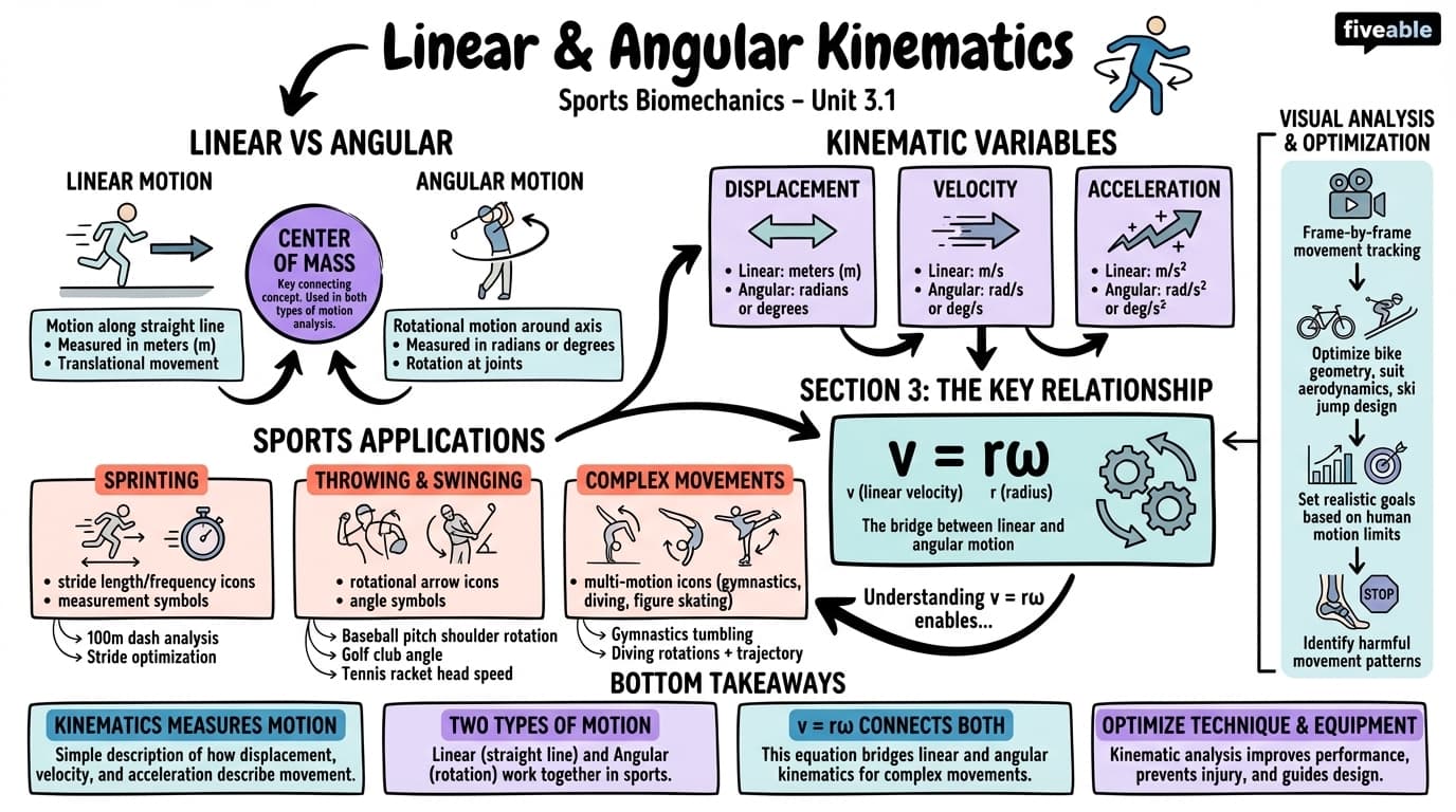 3.1 Linear and angular kinematics - Sports Biomechanics - Unit 3 visual cheatsheet